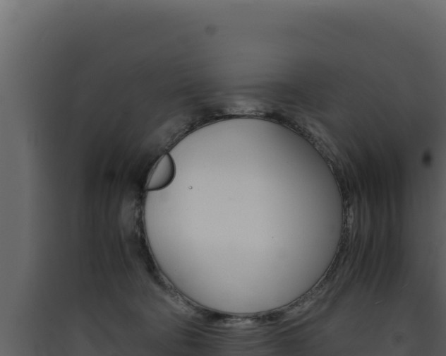 X0000090430322200707131014