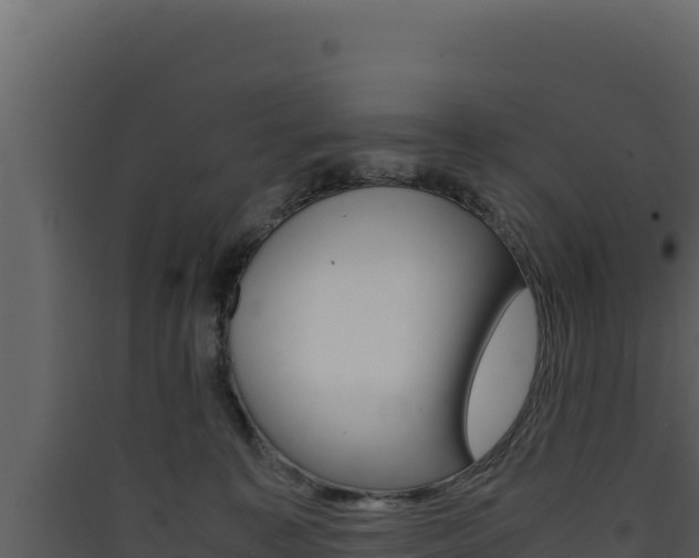 X0000090430323200707131014