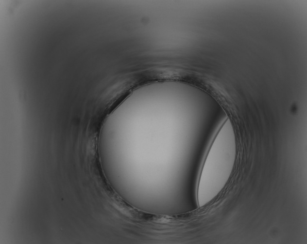 X0000090430325200707131014