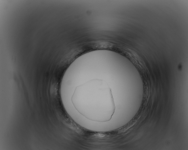 X0000090430326200707131014