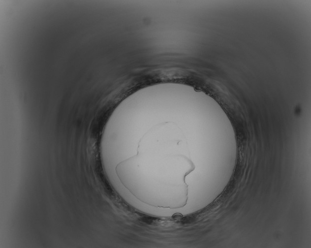 X0000090430327200707131014