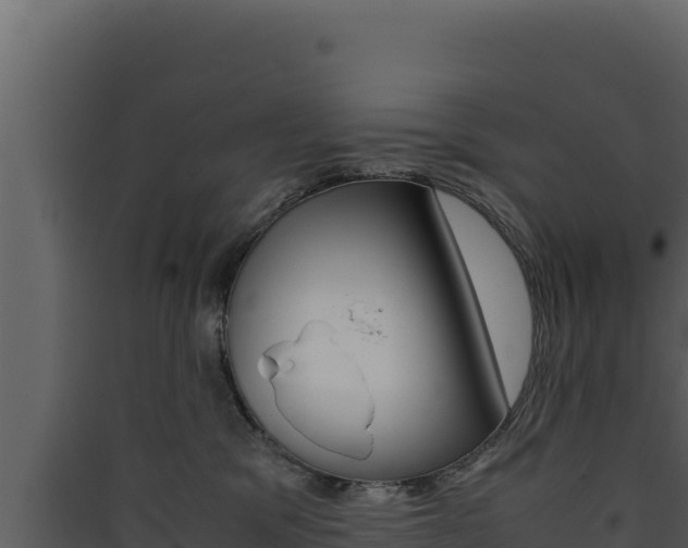 X0000090430329200707131014