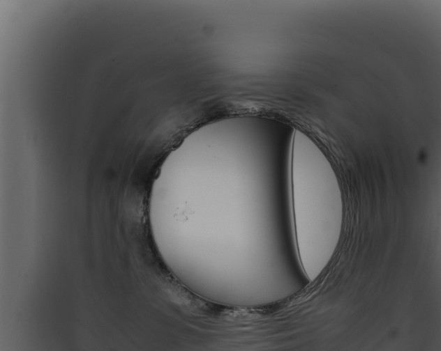 X0000090430331200707131014
