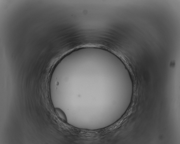 X0000090430337200707131013