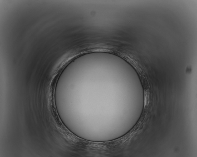 X0000090430339200707131013