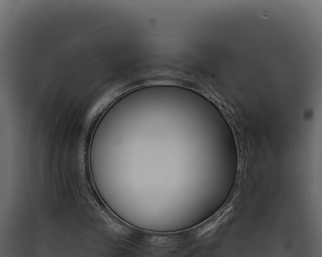 X0000090430341200707131013