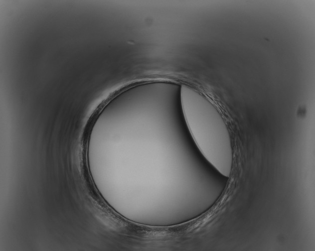 X0000090430342200707131013