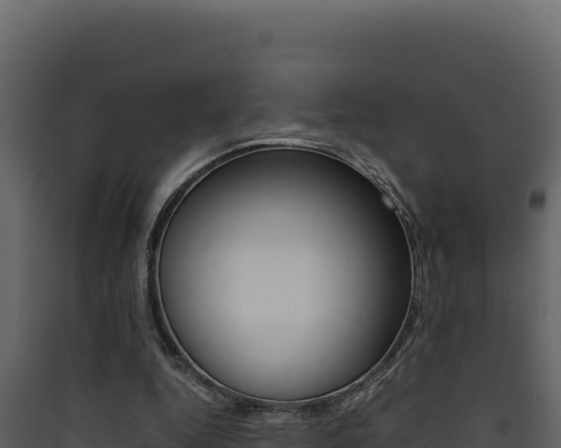 X0000090430344200707131013