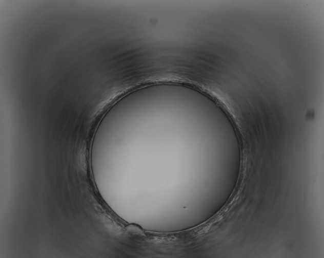 X0000090430345200707131013