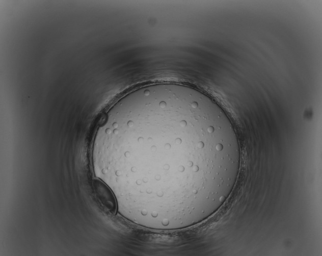 X0000090430347200707131013