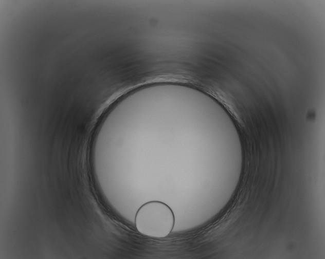 X0000090430348200707131013