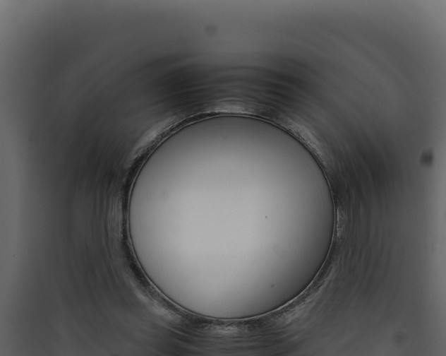 X0000090430349200707131013