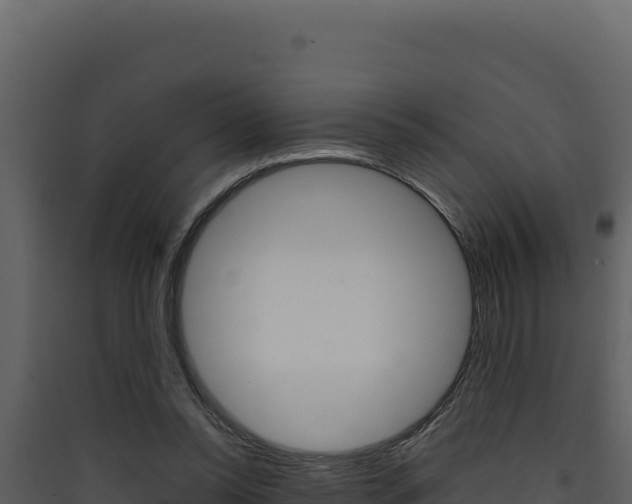 X0000090430350200707131013