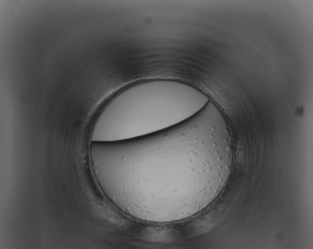 X0000090430351200707131013