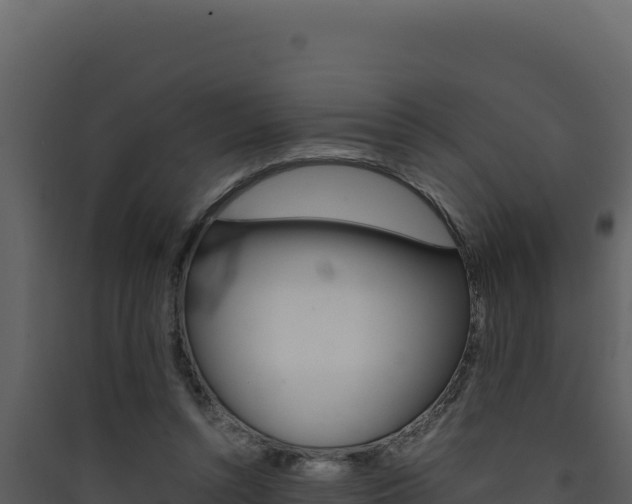 X0000090430352200707131013