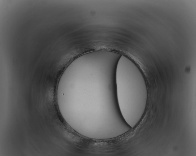 X0000090430353200707131013