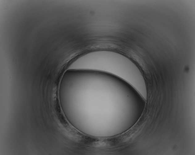 X0000090430356200707131013