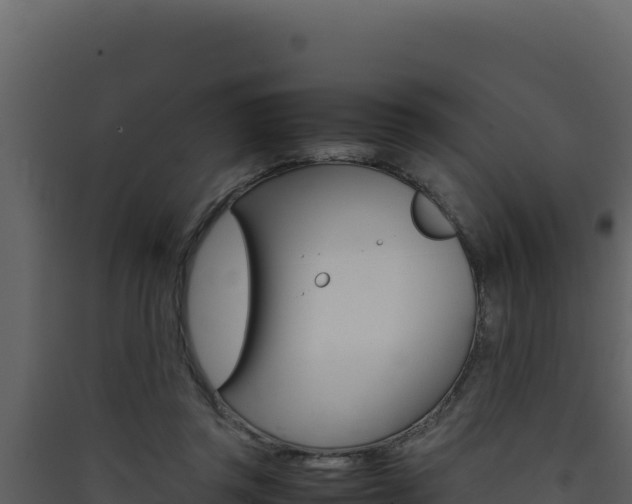 X0000090430357200707131013