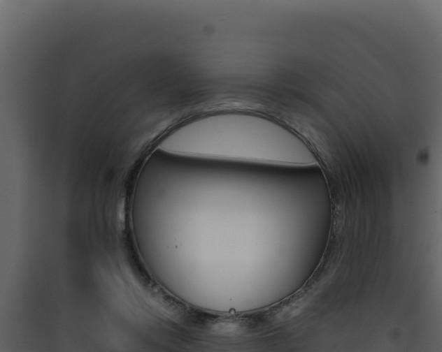 X0000090430358200707131013