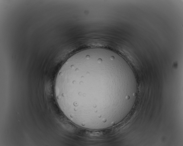 X0000090430359200707131013