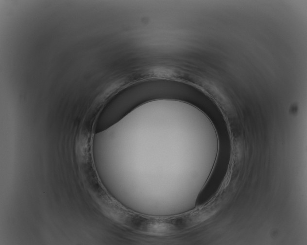 X0000090430360200707131013