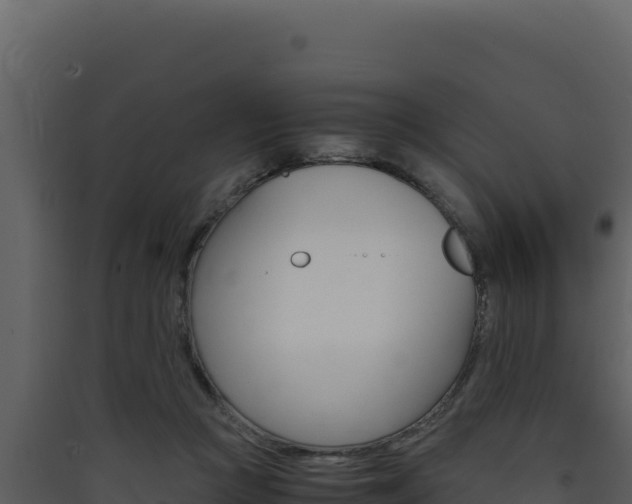 X0000090430361200707131013