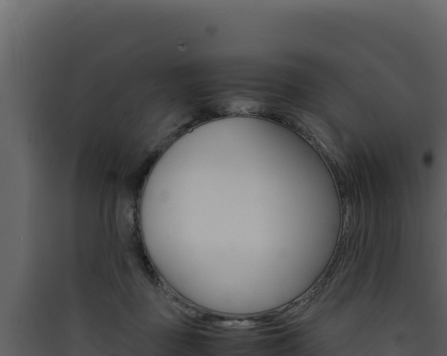 X0000090430363200707131013