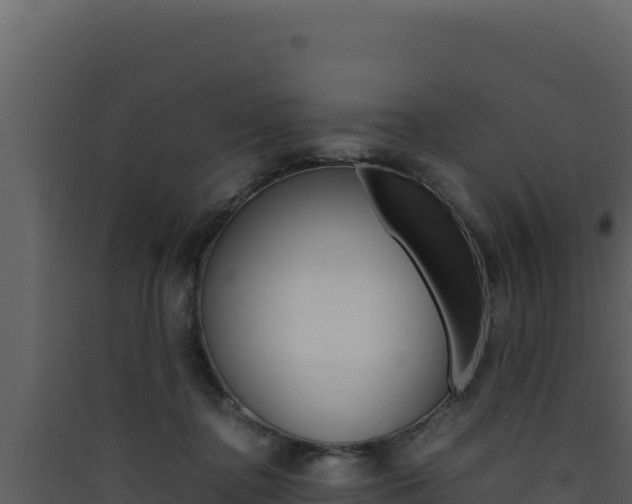 X0000090430364200707131013
