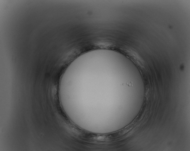 X0000090430365200707131013