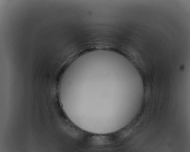 X0000090430367200707131013
