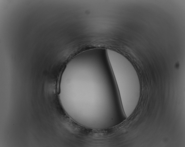 X0000090430368200707131013