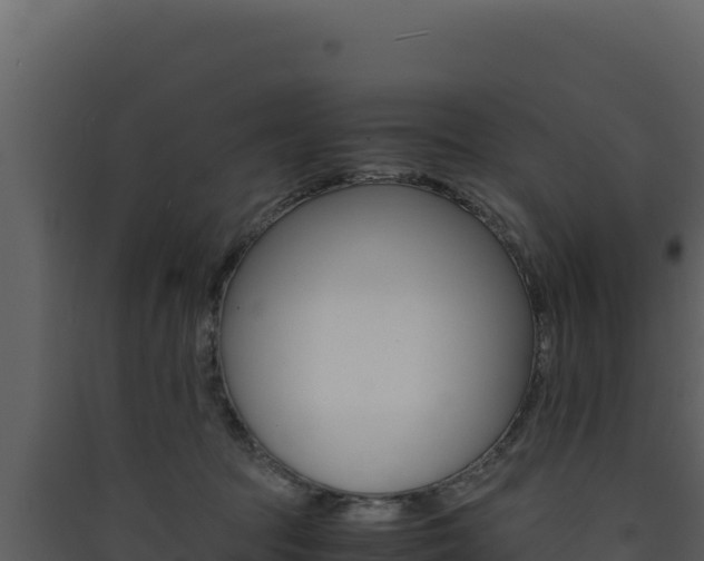 X0000090430369200707131013