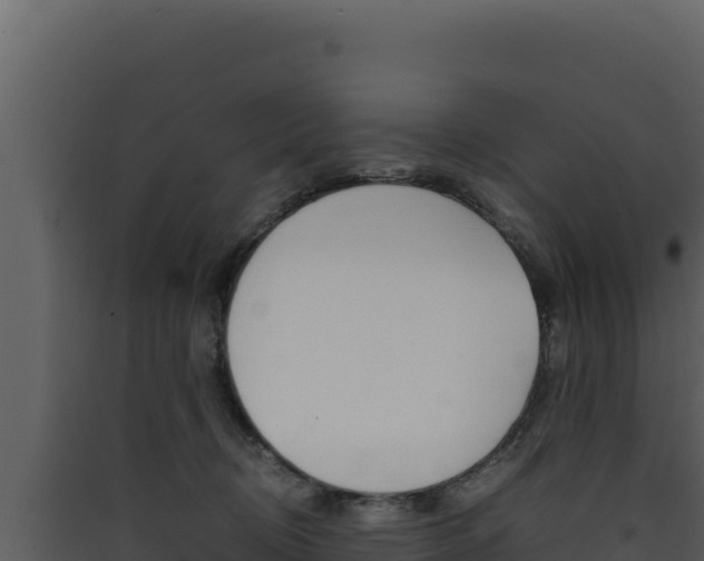 X0000090430370200707131013