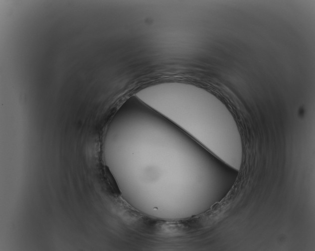 X0000090430372200707131013