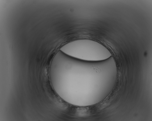 X0000090430373200707131013