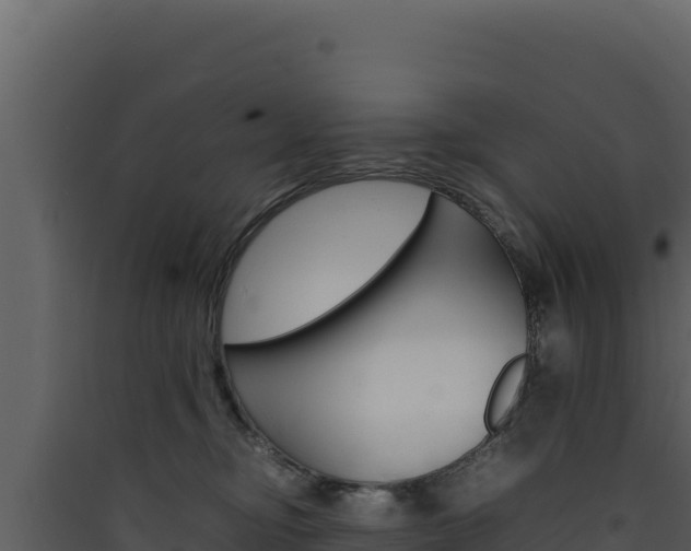 X0000090430374200707131013