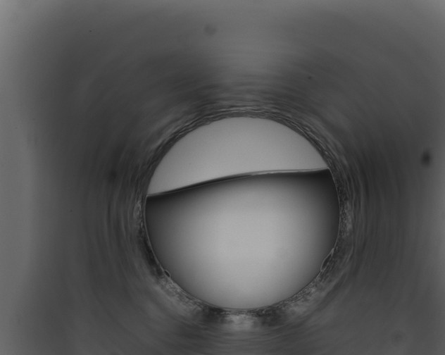 X0000090430376200707131013