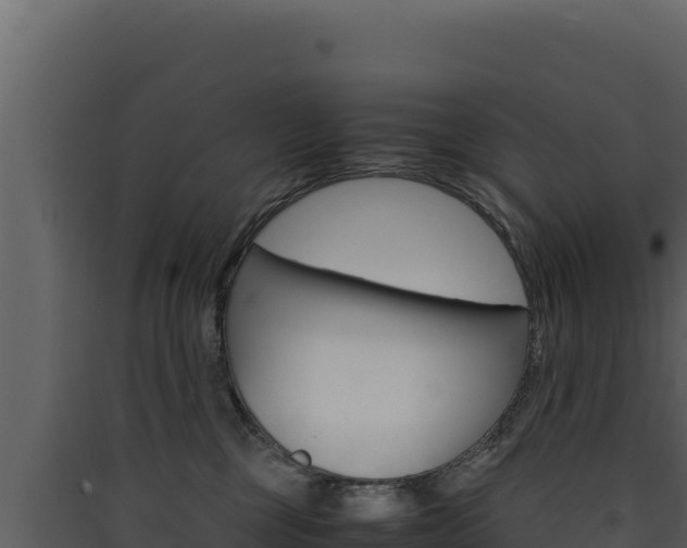 X0000090430377200707131013