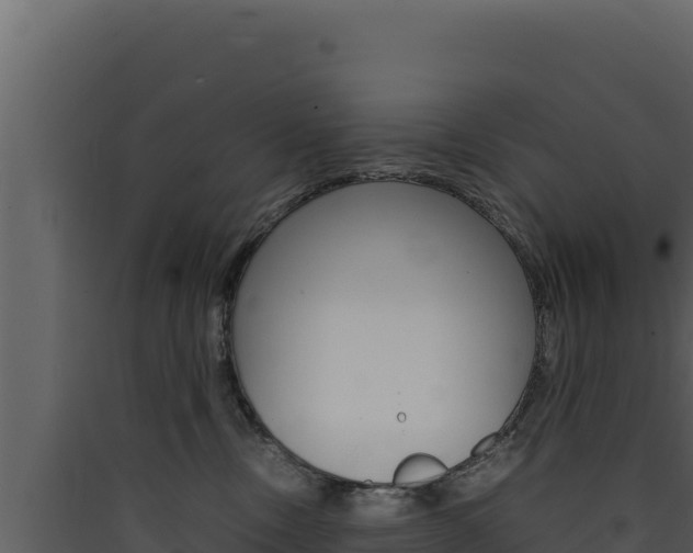 X0000090430378200707131013