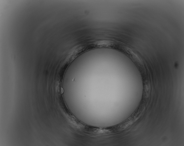 X0000090430379200707131013