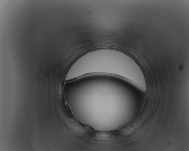 X0000090430380200707131013