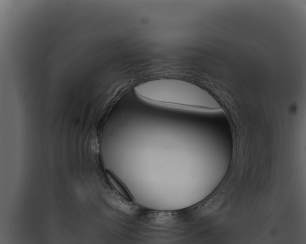 X0000090430384200707131013