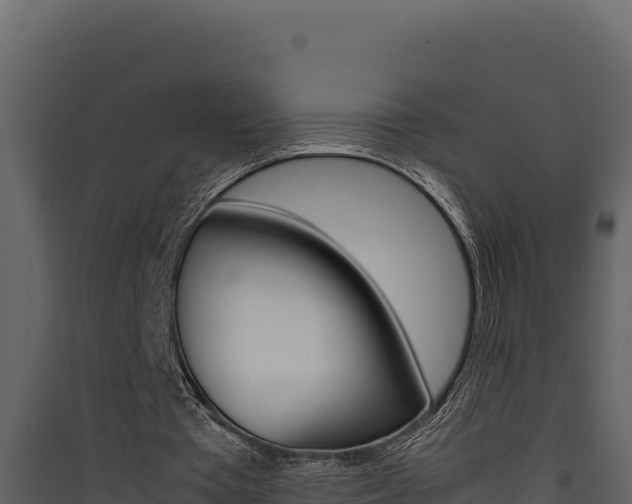 X0000090430385200707131013