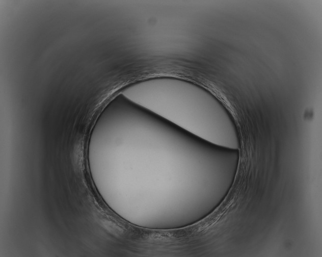 X0000090430386200707131013