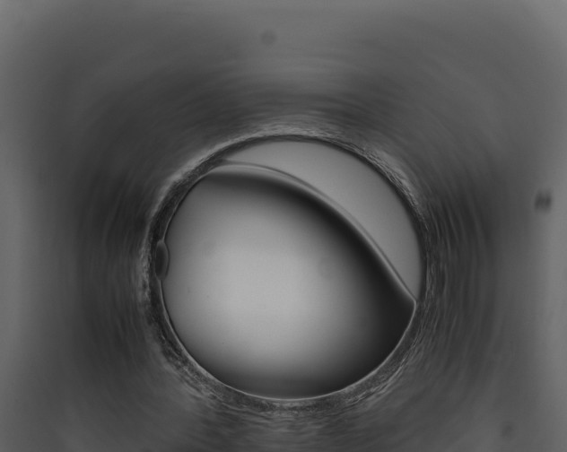 X0000090430388200707131013