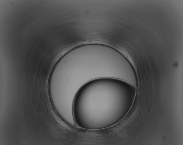 X0000090430389200707131013