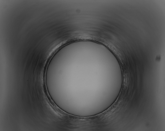 X0000090430390200707131013