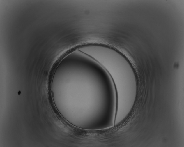 X0000090430391200707131013