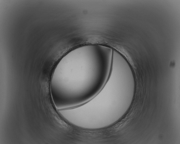 X0000090430393200707131013