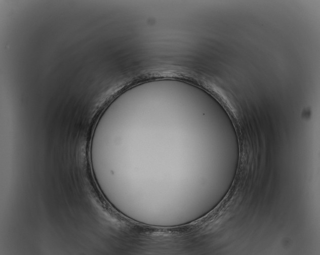 X0000090430394200707131013